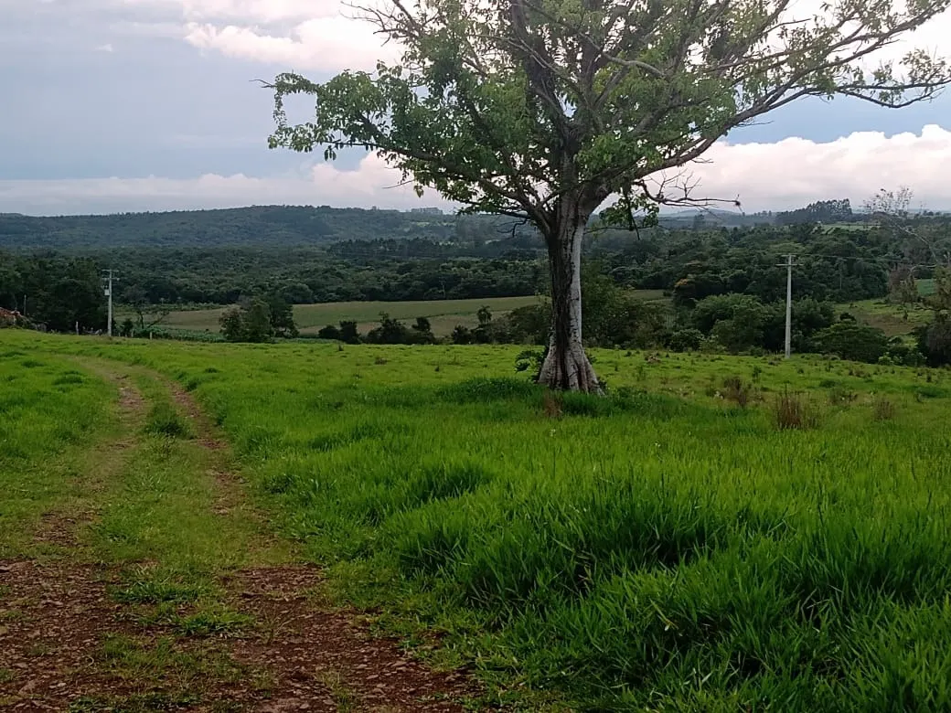 Small farm for sale of 84 acres in Angatuba, SP, Brazil