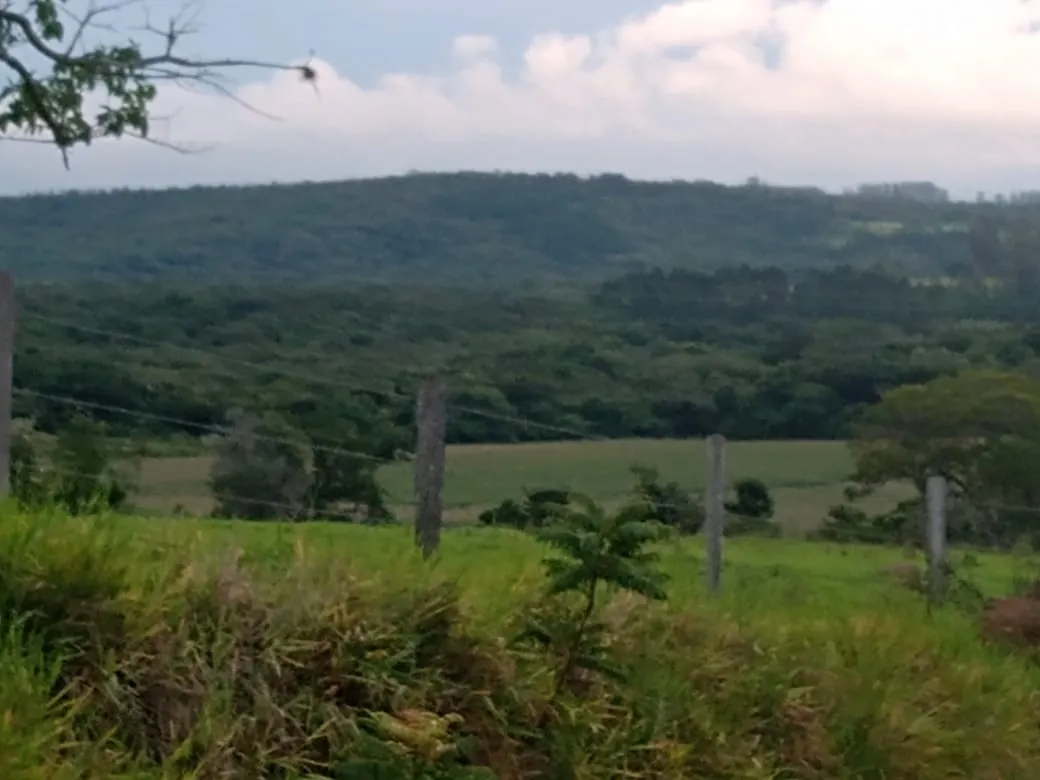 Small farm for sale of 84 acres in Angatuba, SP, Brazil