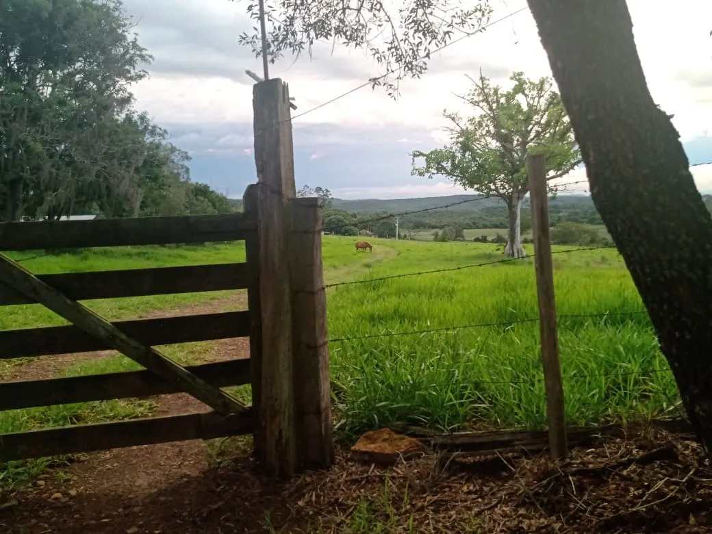 Small farm for sale of 84 acres in Angatuba, SP, Brazil