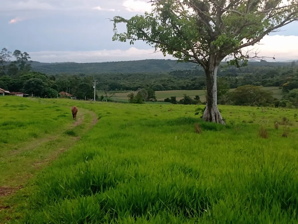 Small farm for sale of 84 acres in Angatuba, SP, Brazil