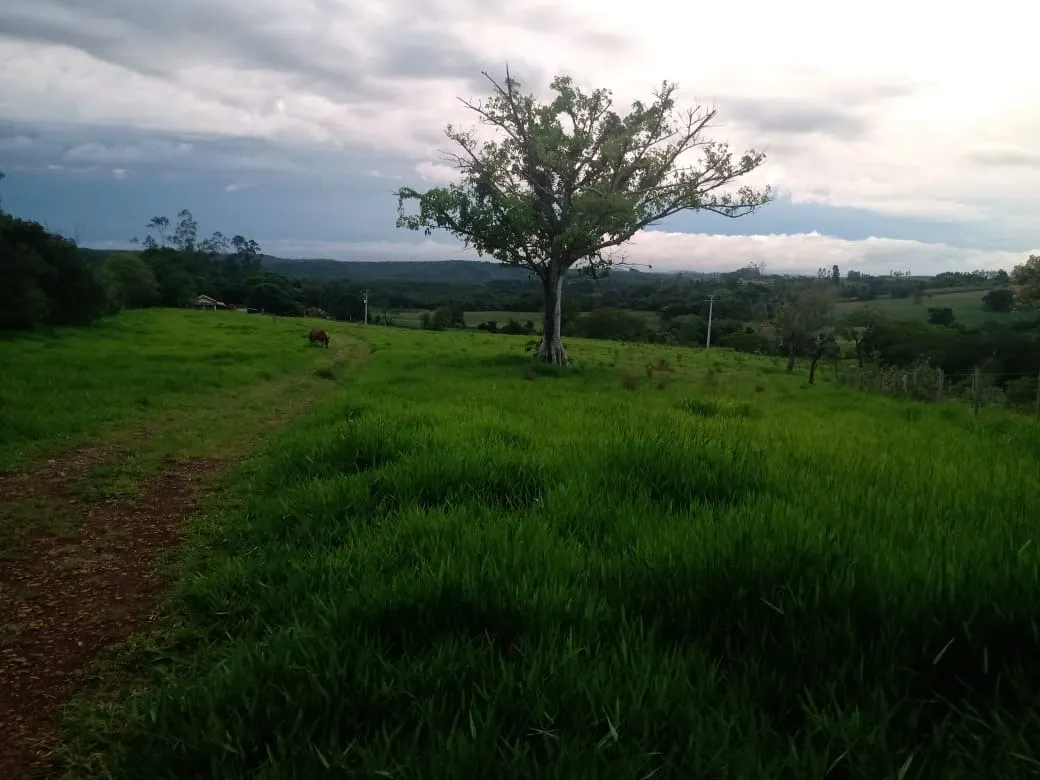 Small farm for sale of 84 acres in Angatuba, SP, Brazil