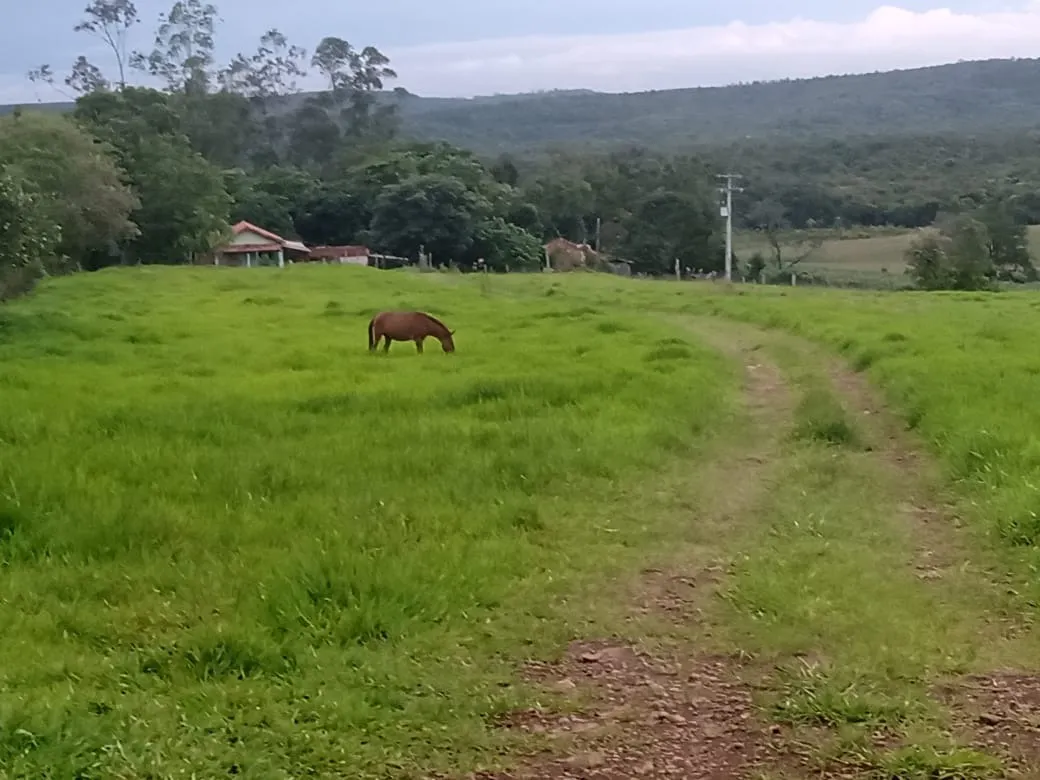Small farm for sale of 84 acres in Angatuba, SP, Brazil
