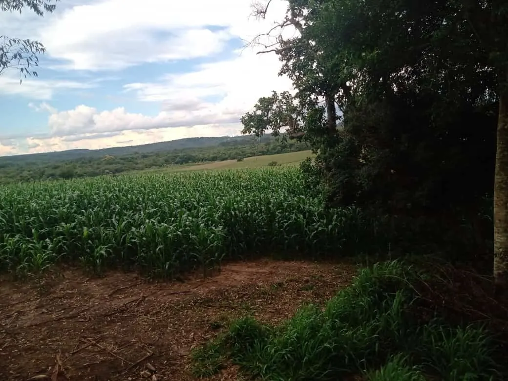 Small farm for sale of 84 acres in Angatuba, SP, Brazil