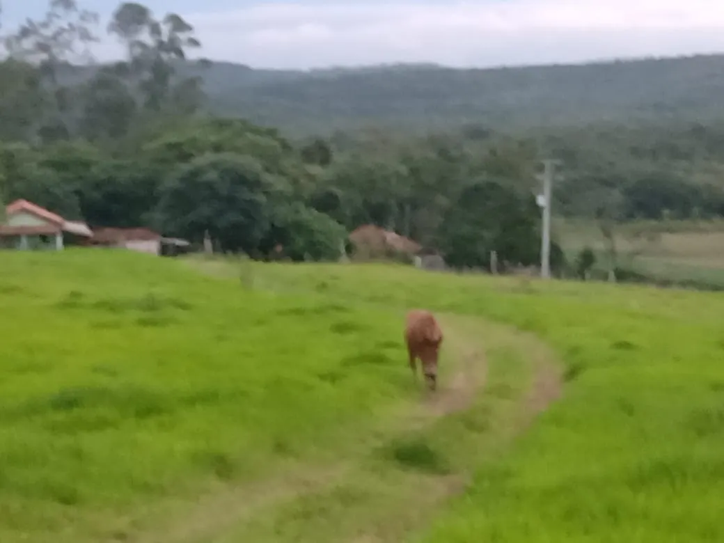 Small farm for sale of 84 acres in Angatuba, SP, Brazil