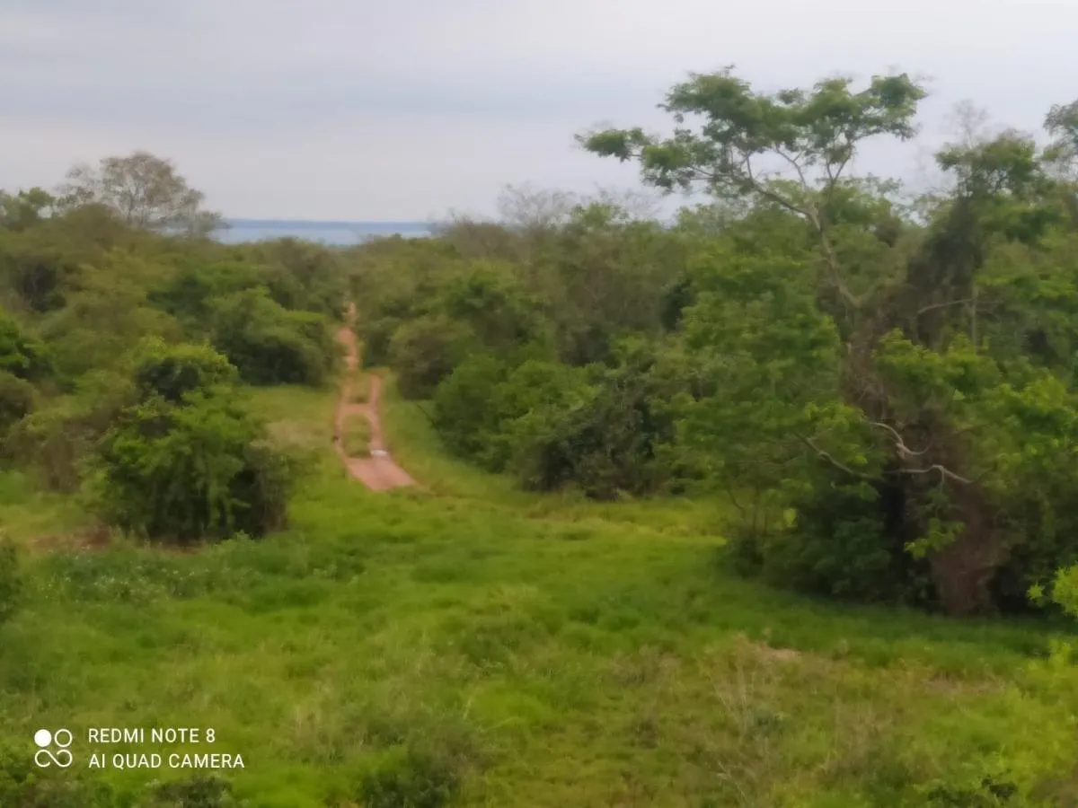 Fazenda à venda de 86 ha em Presidente Venceslau, SP, Brasil