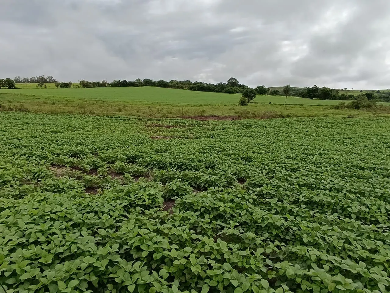 Sítio à venda de 41 ha em Alambari, SP, Brasil