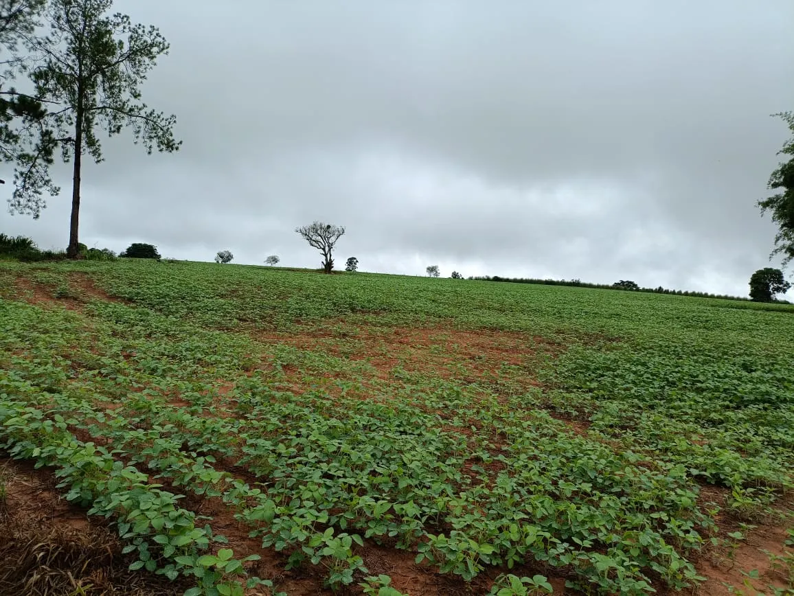 Sítio à venda de 41 ha em Alambari, SP, Brasil