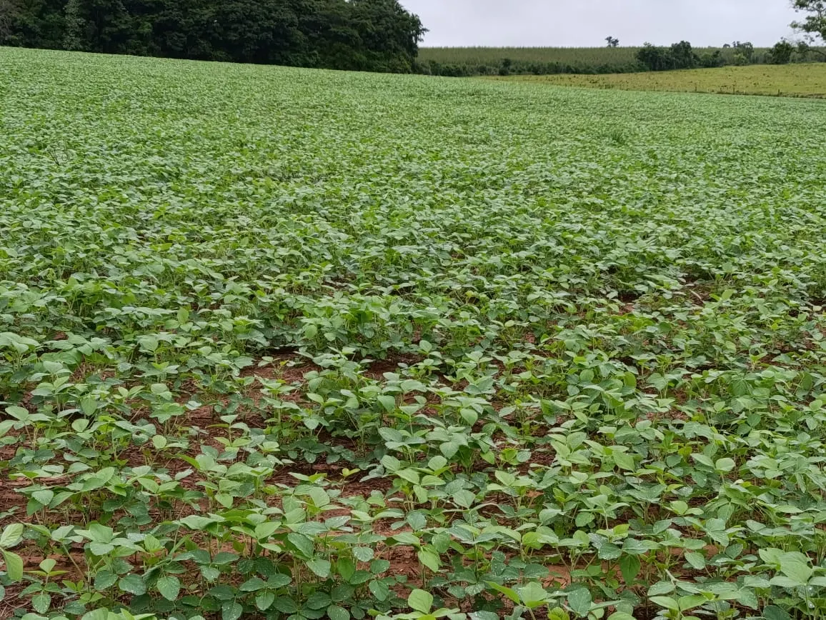 Sítio à venda de 41 ha em Alambari, SP, Brasil