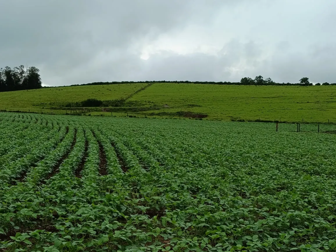 Sítio à venda de 41 ha em Alambari, SP, Brasil