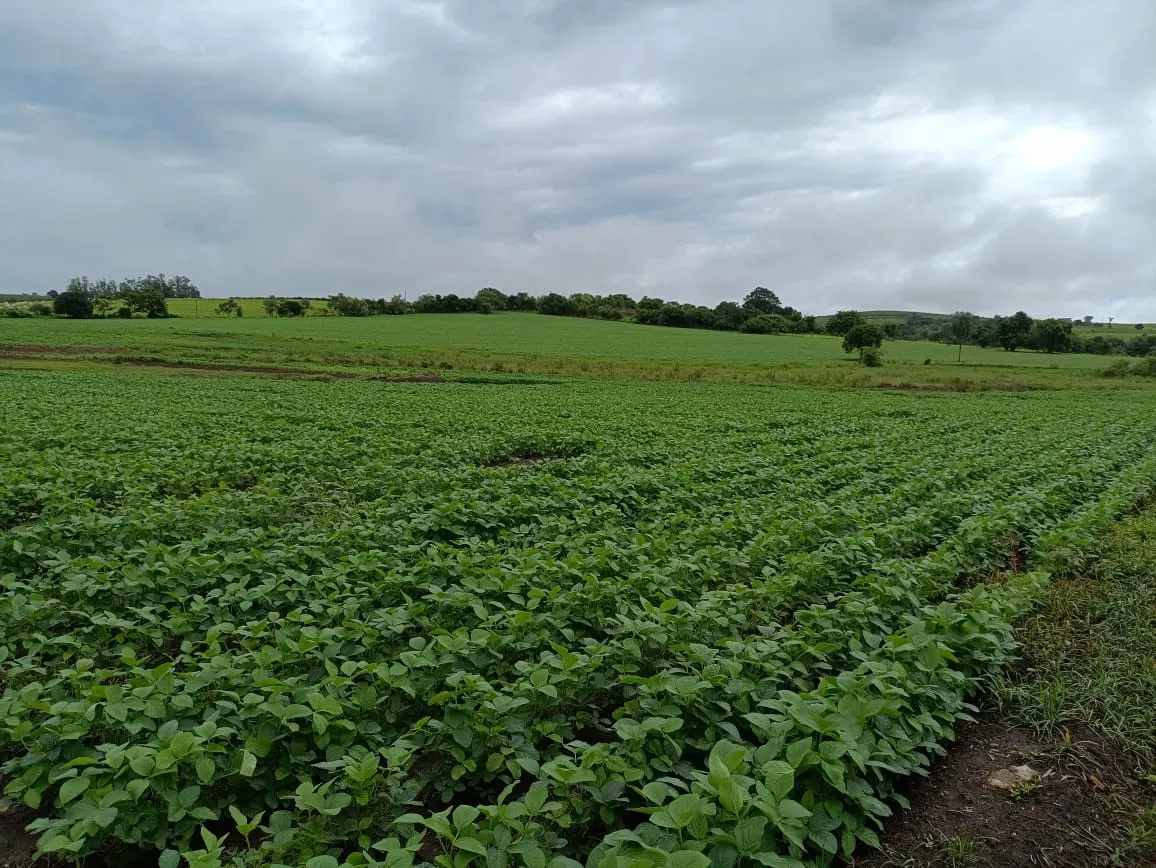 Sítio à venda de 41 ha em Alambari, SP, Brasil