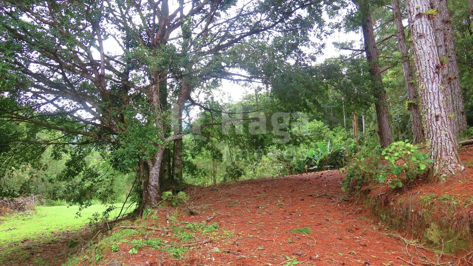 Farm for sale of 51 acres in Guabiruba, SC, Brazil