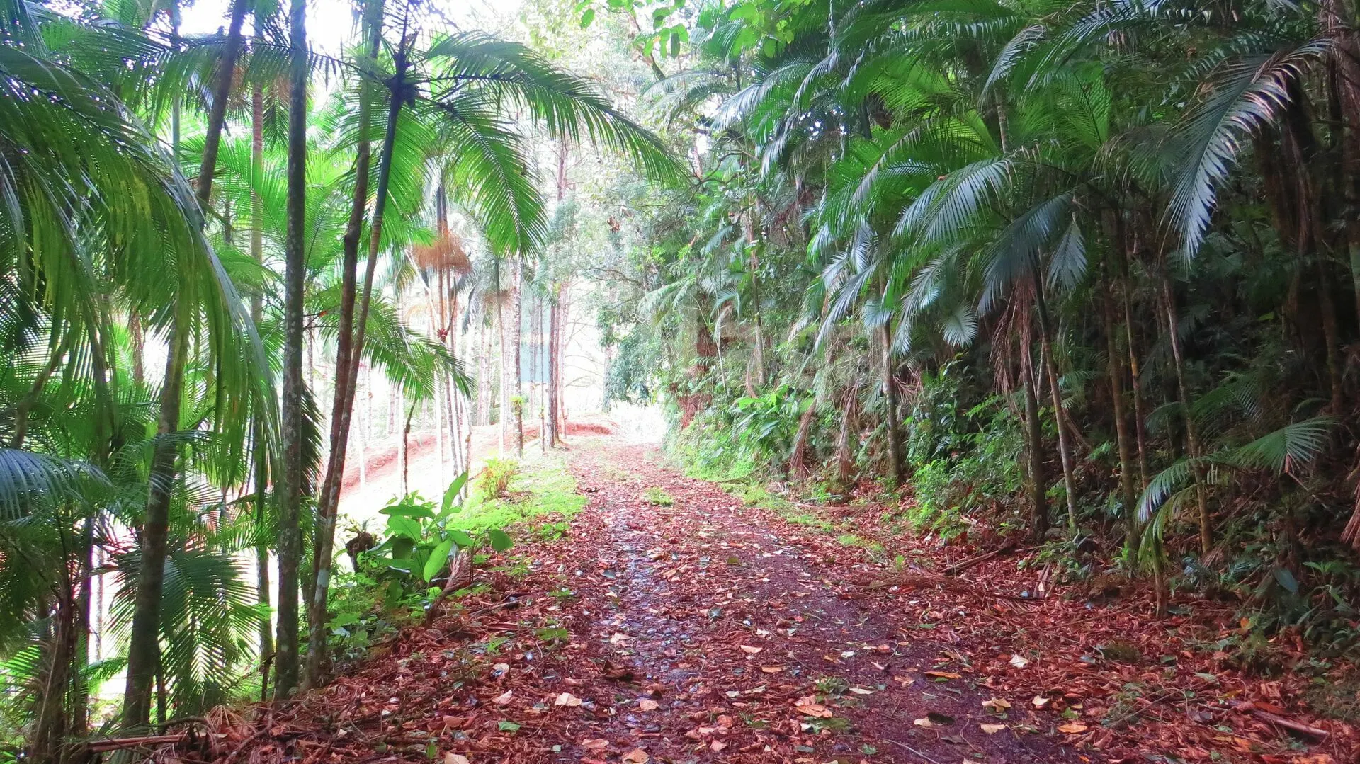 Farm for sale of 51 acres in Guabiruba, SC, Brazil