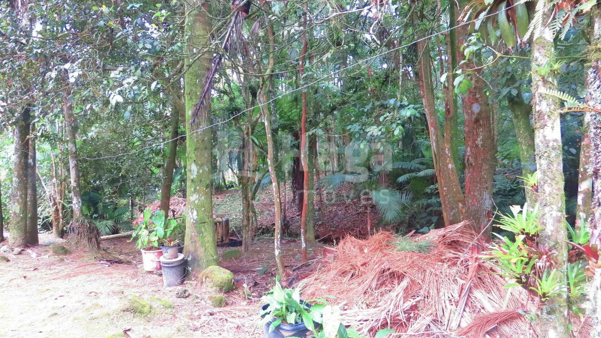 Farm for sale of 51 acres in Guabiruba, SC, Brazil