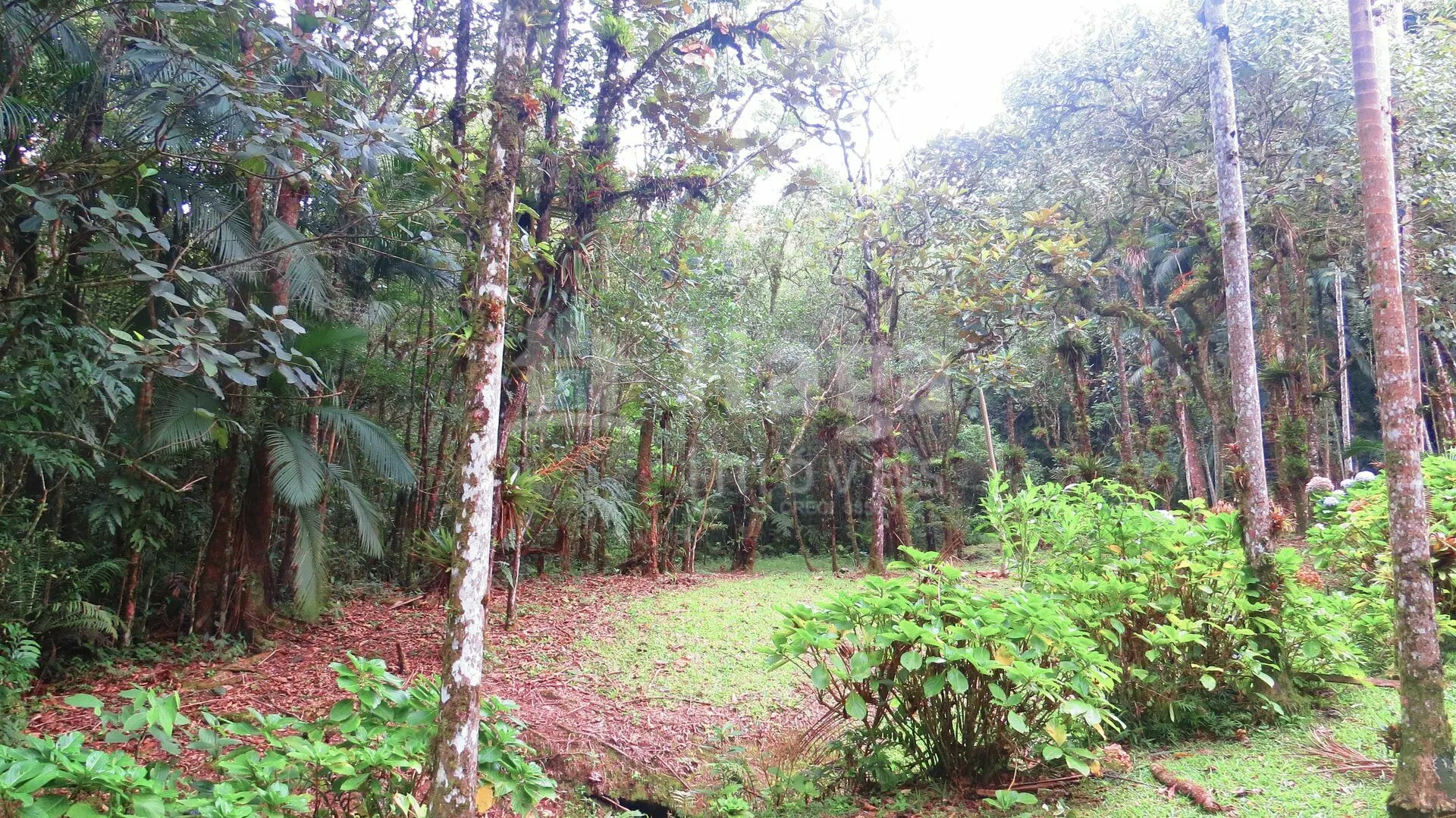 Farm for sale of 51 acres in Guabiruba, SC, Brazil