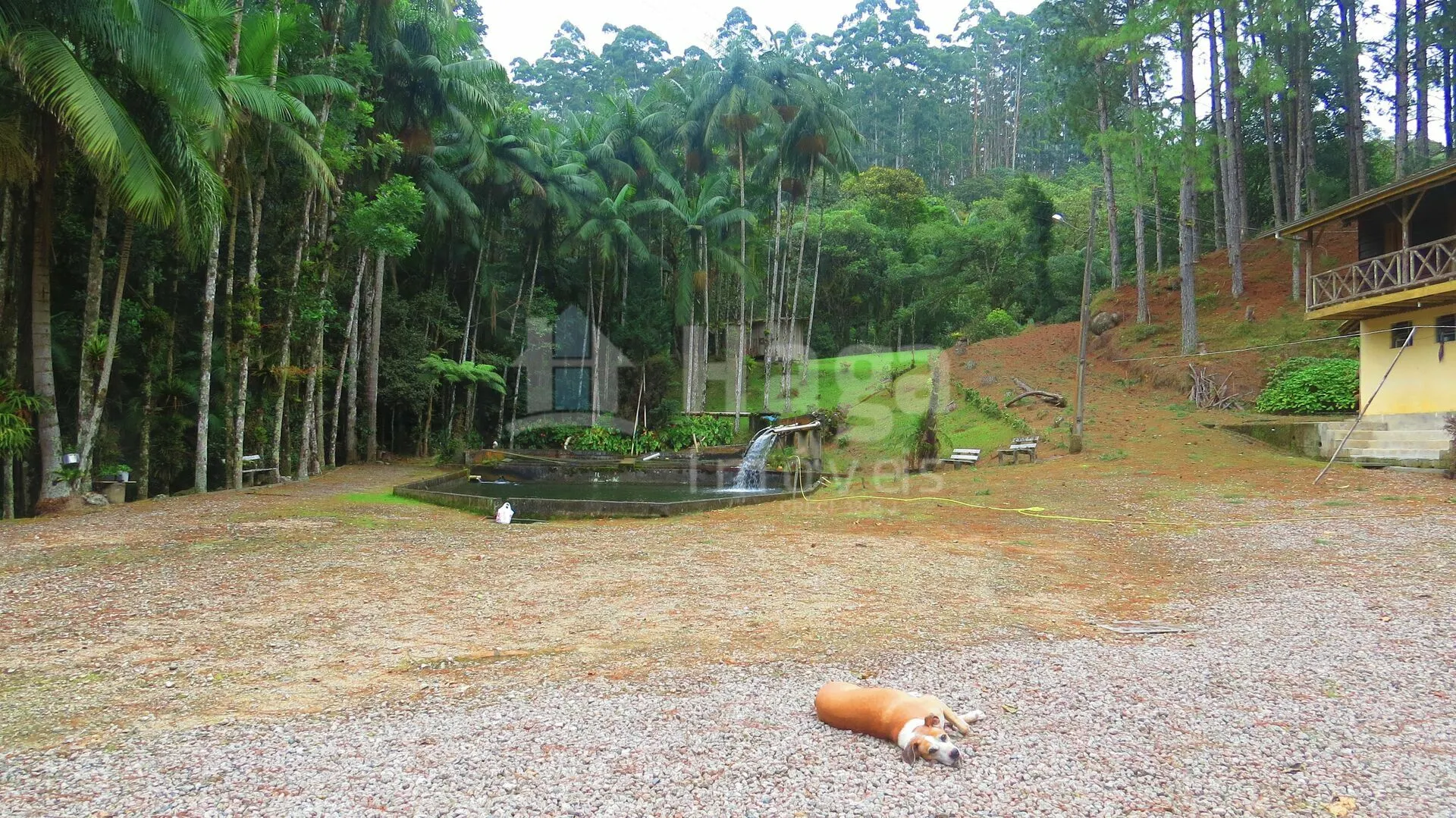 Farm for sale of 51 acres in Guabiruba, SC, Brazil