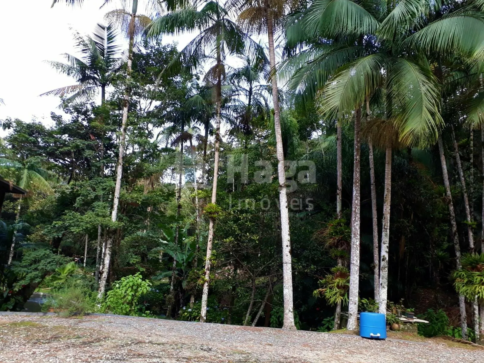 Farm for sale of 51 acres in Guabiruba, SC, Brazil