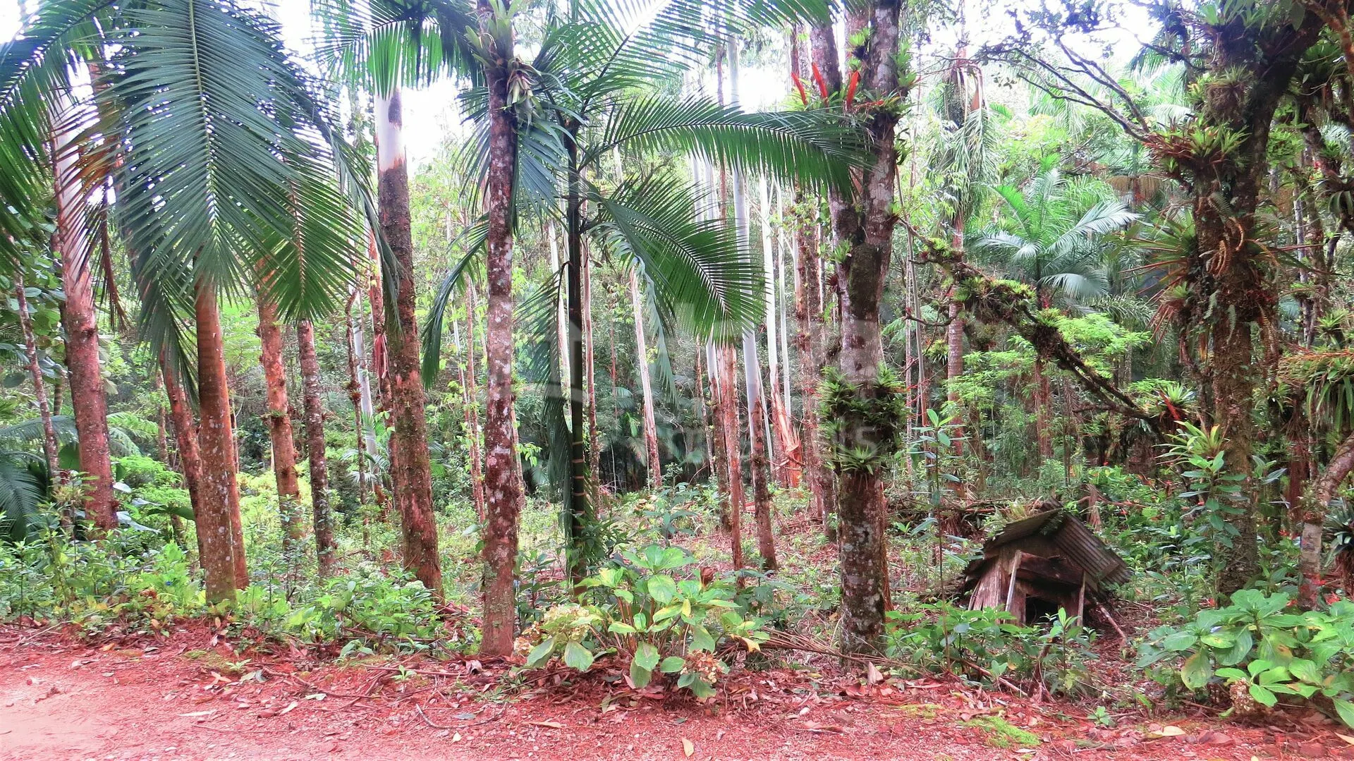 Farm for sale of 51 acres in Guabiruba, SC, Brazil