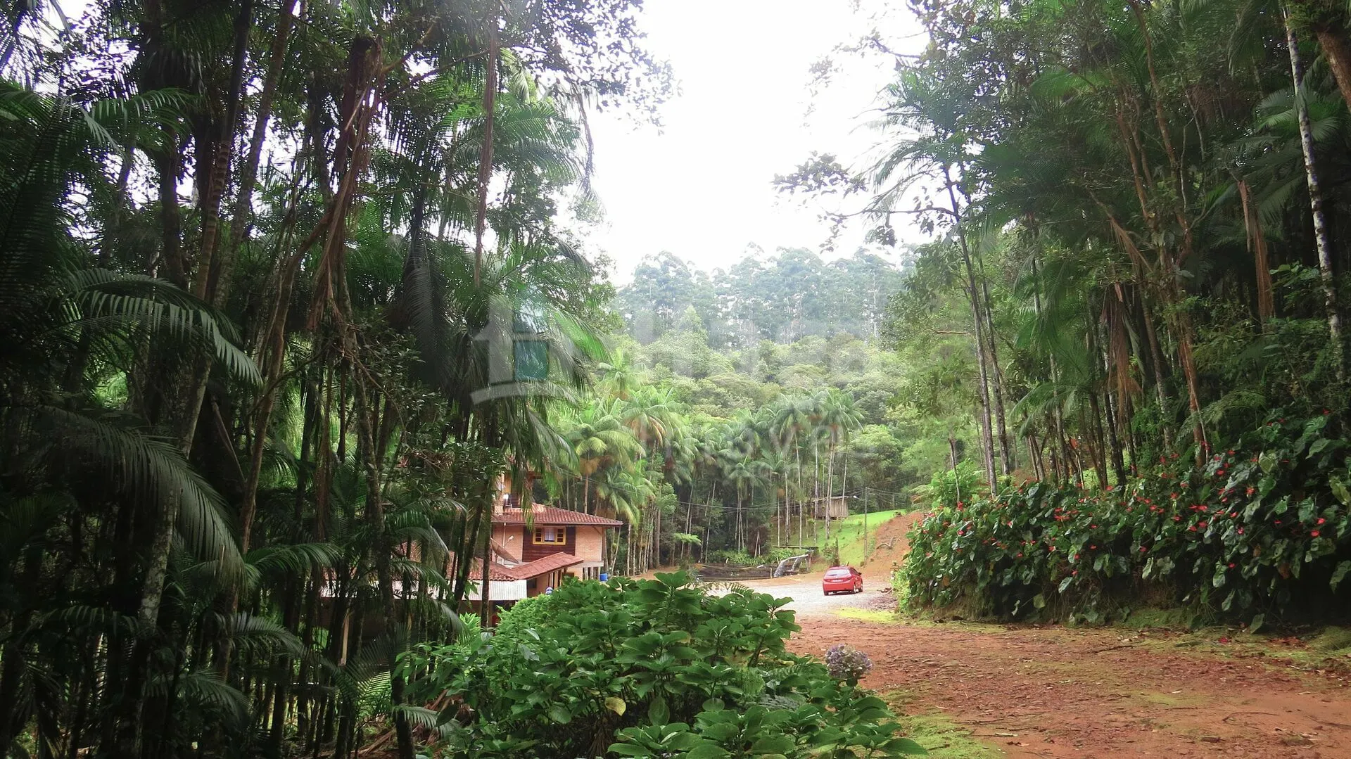 Farm for sale of 51 acres in Guabiruba, SC, Brazil