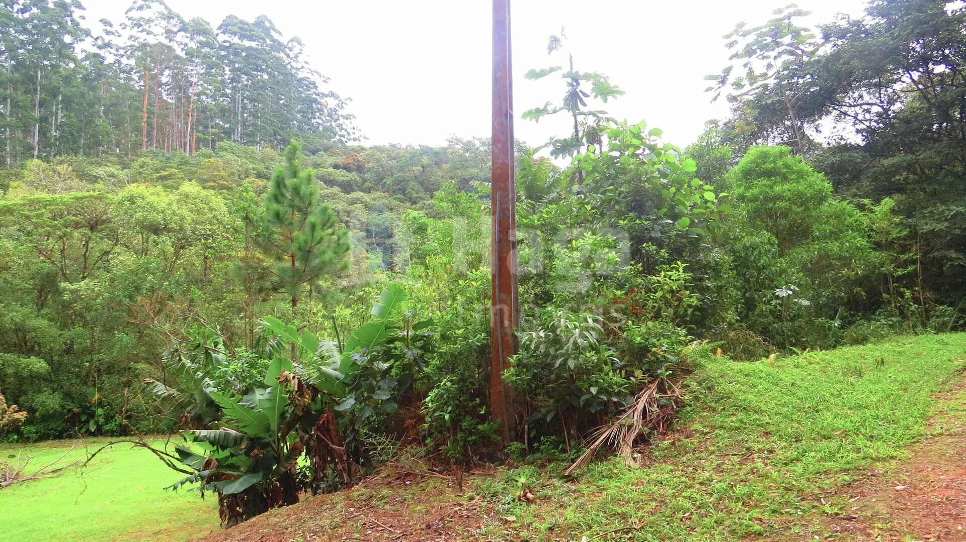 Farm for sale of 51 acres in Guabiruba, SC, Brazil
