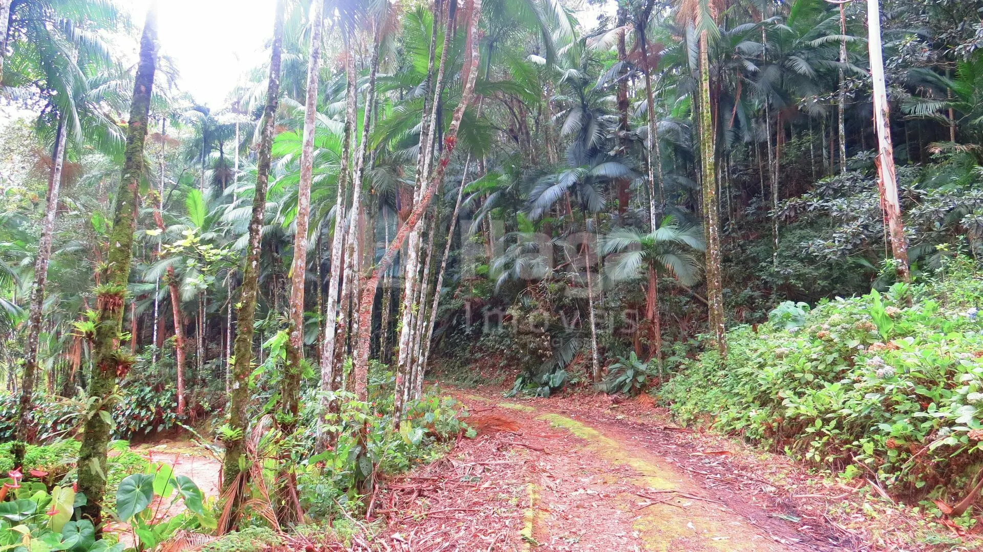 Farm for sale of 51 acres in Guabiruba, SC, Brazil