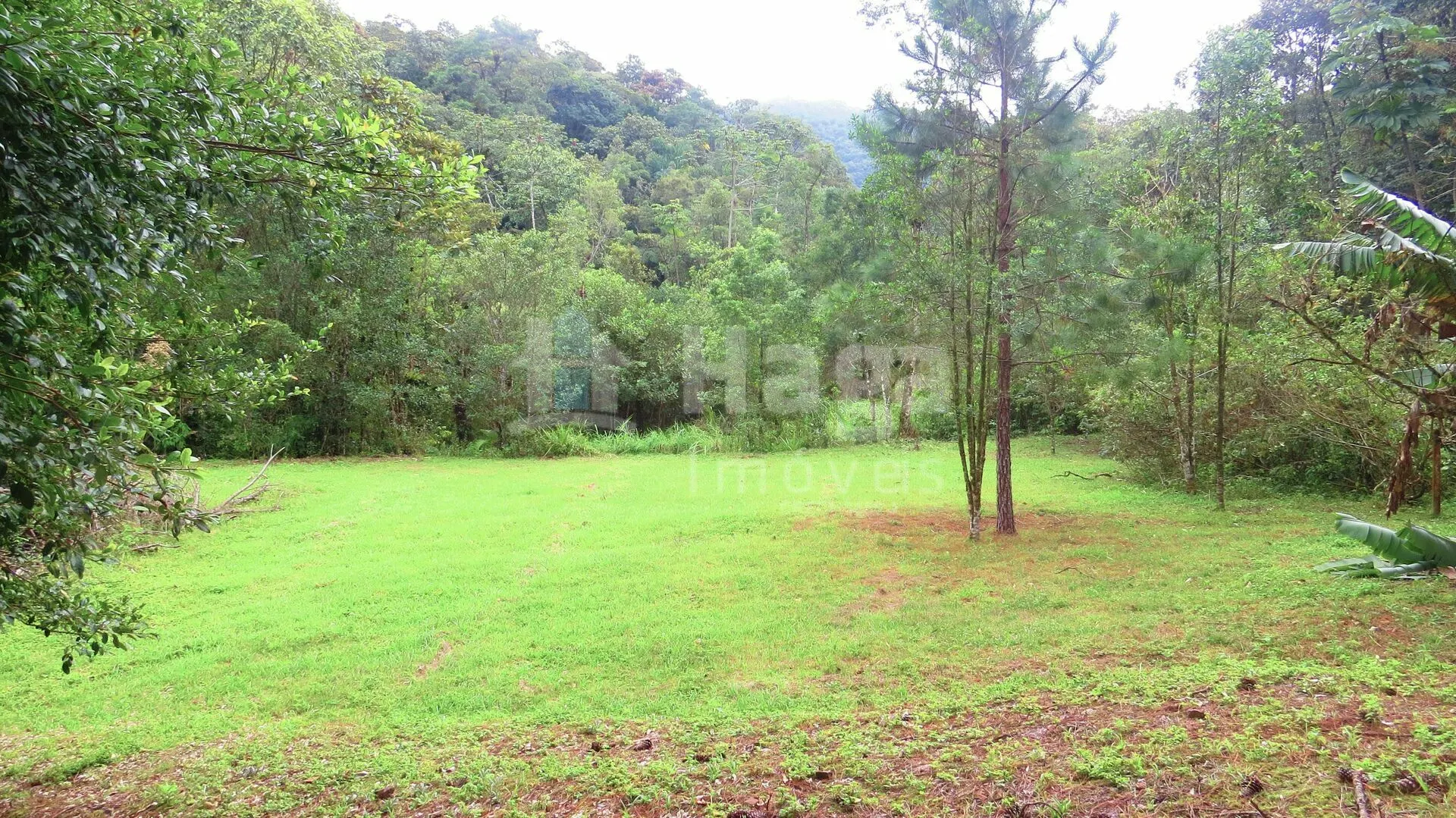 Farm for sale of 51 acres in Guabiruba, SC, Brazil