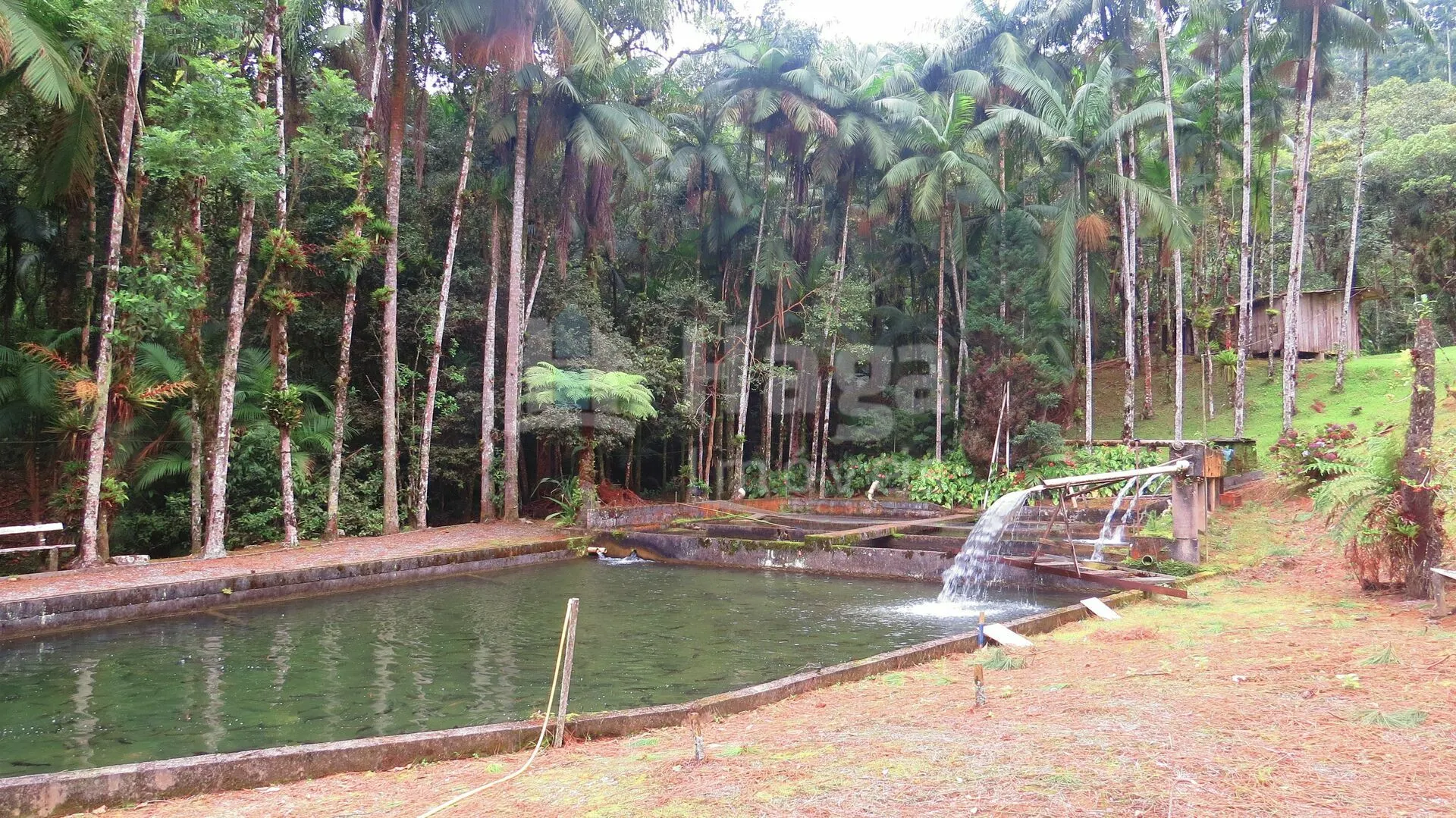 Farm for sale of 51 acres in Guabiruba, SC, Brazil