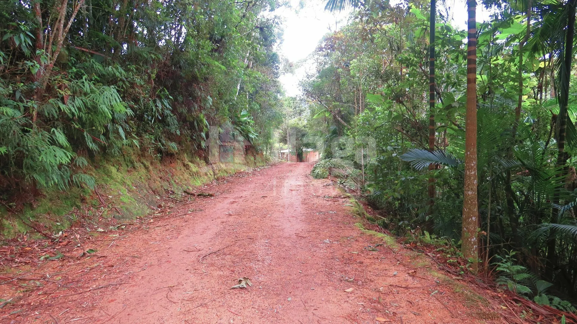 Farm for sale of 51 acres in Guabiruba, SC, Brazil