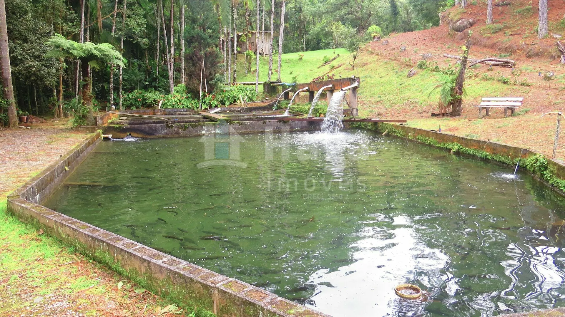 Farm for sale of 51 acres in Guabiruba, SC, Brazil