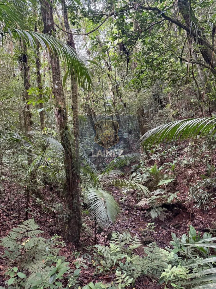 Small farm for sale of 71 acres in Juquitiba, SP, Brazil