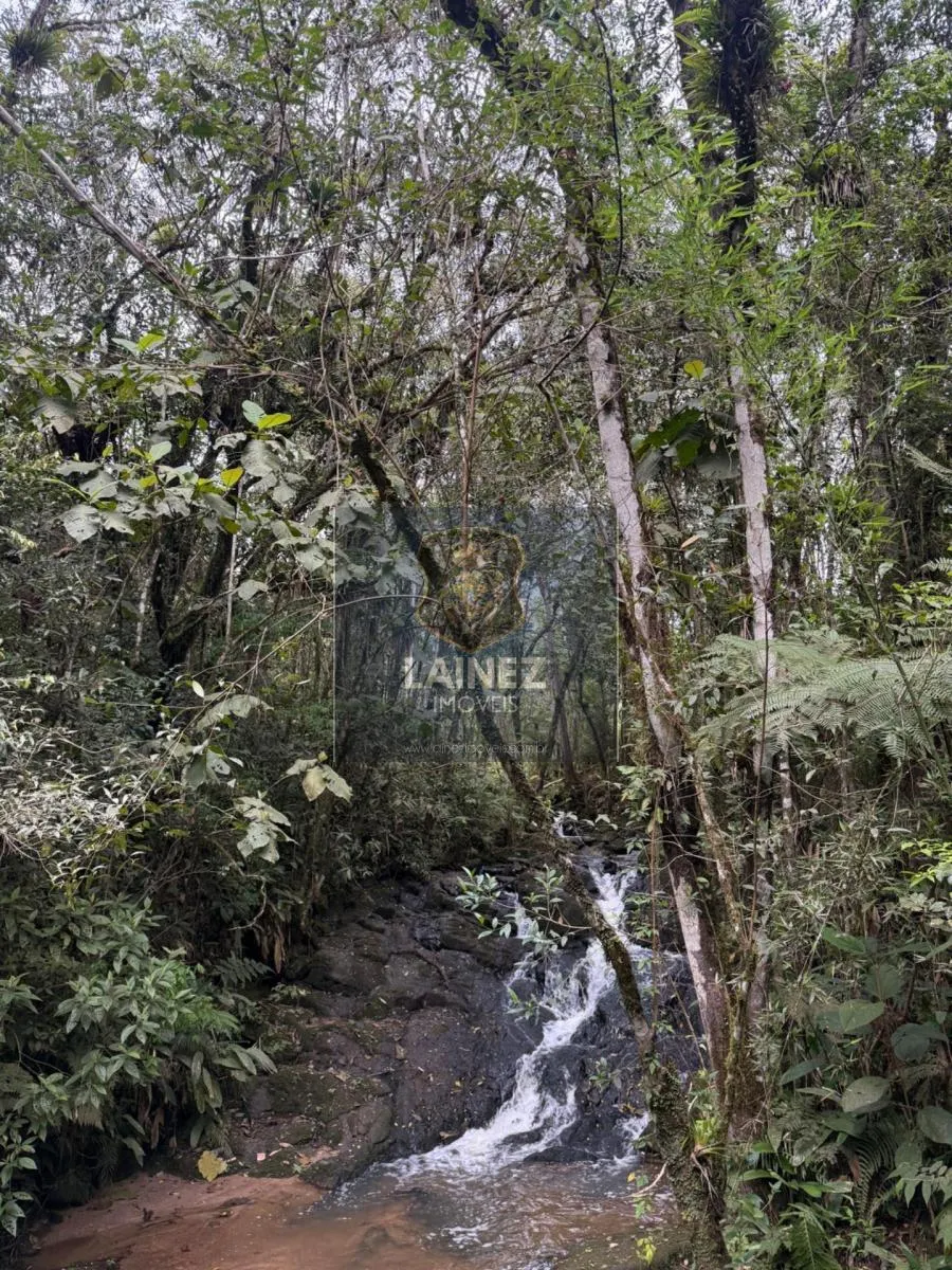 Small farm for sale of 71 acres in Juquitiba, SP, Brazil