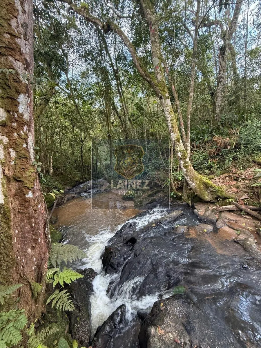 Small farm for sale of 71 acres in Juquitiba, SP, Brazil