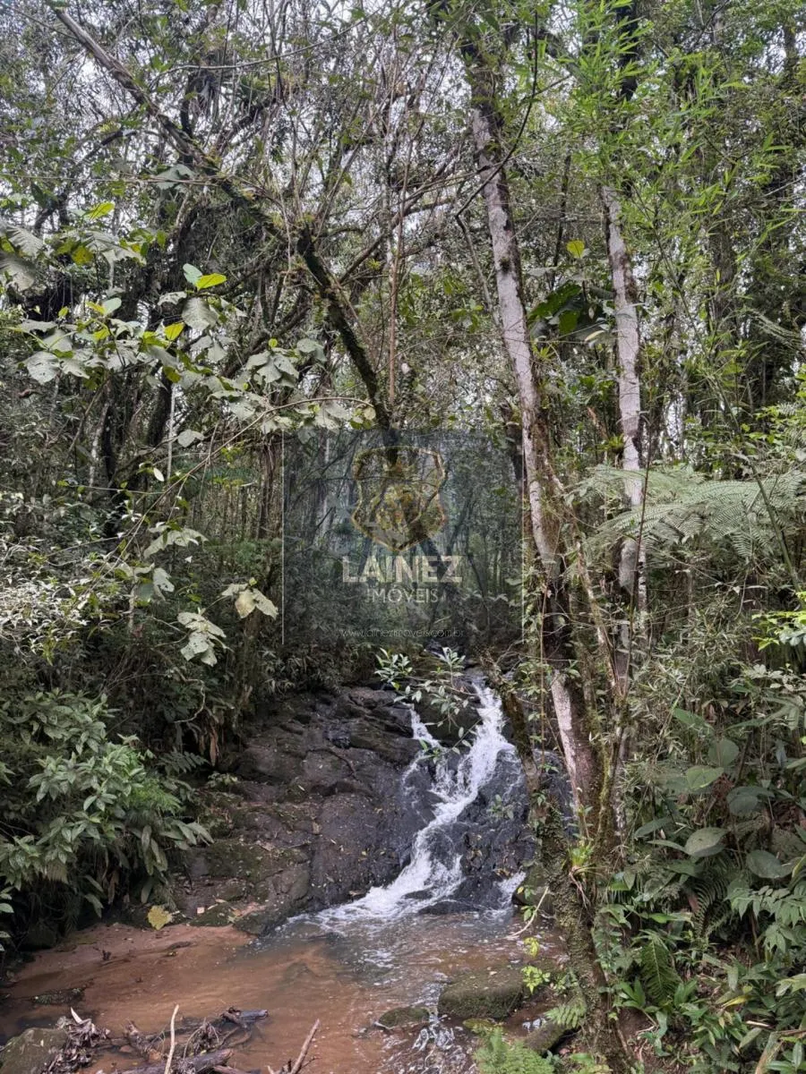 Small farm for sale of 71 acres in Juquitiba, SP, Brazil