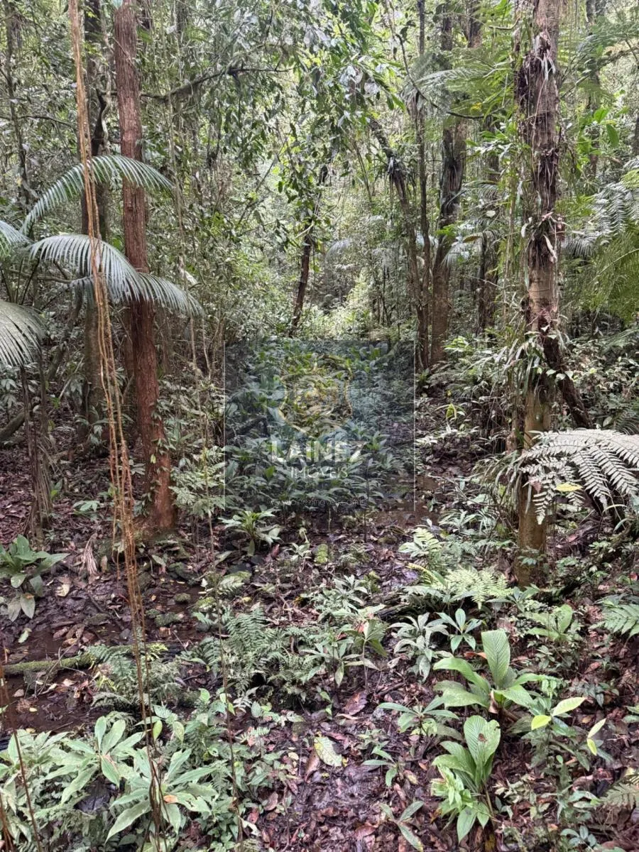 Small farm for sale of 71 acres in Juquitiba, SP, Brazil