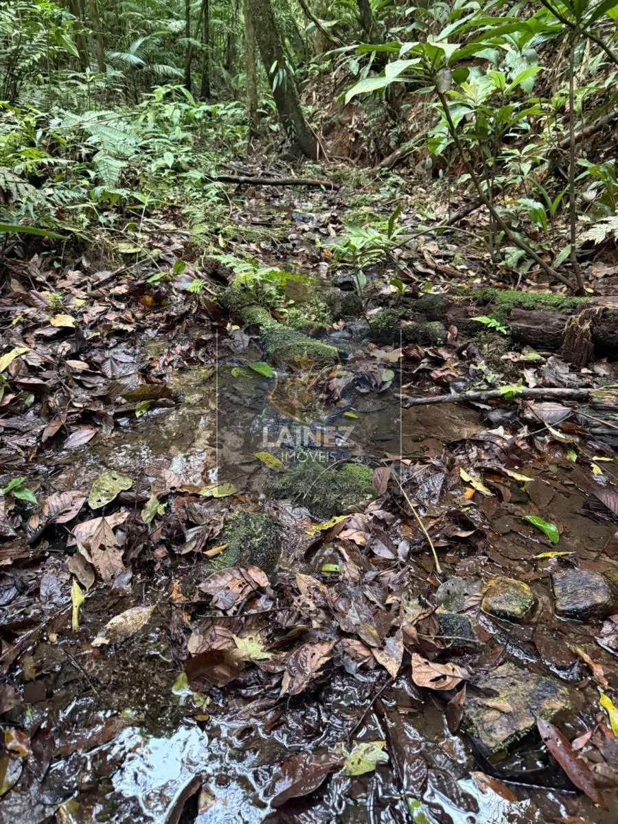 Small farm for sale of 71 acres in Juquitiba, SP, Brazil