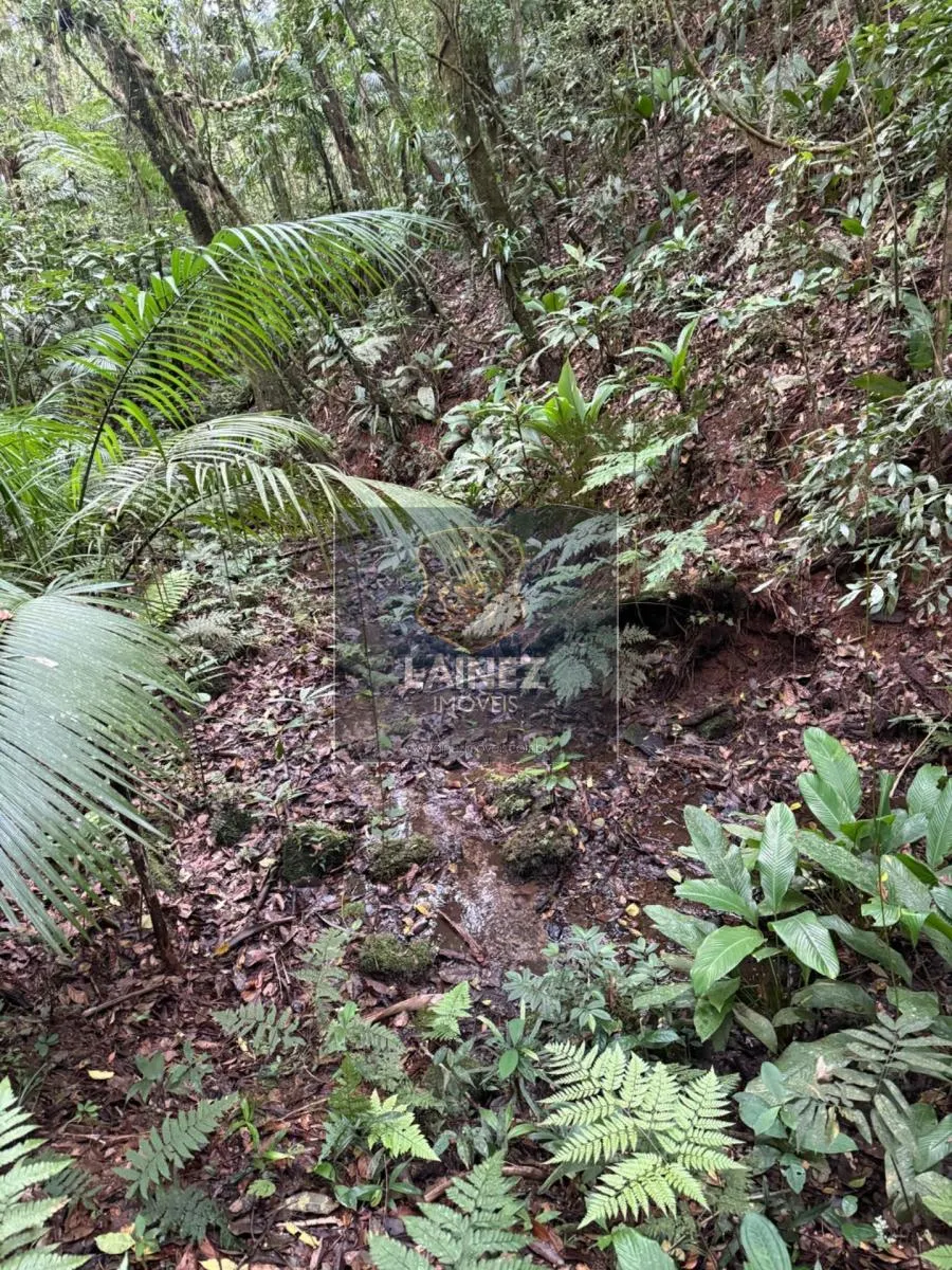Small farm for sale of 71 acres in Juquitiba, SP, Brazil