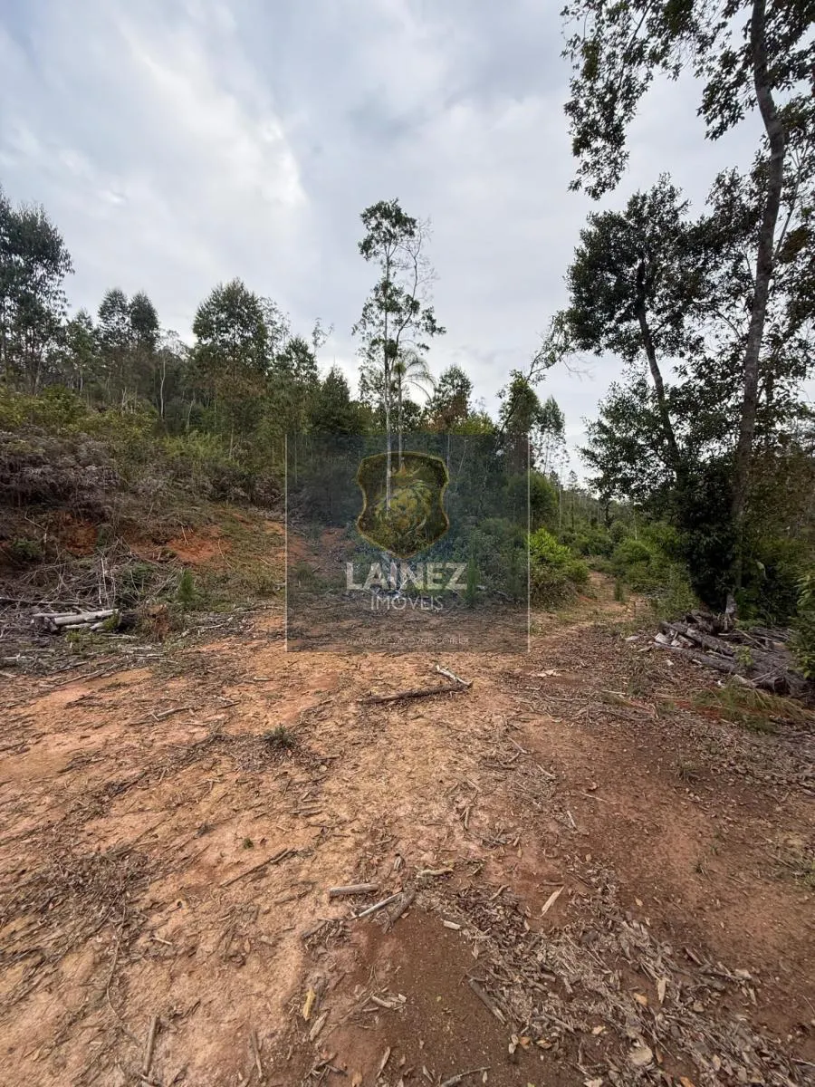 Small farm for sale of 71 acres in Juquitiba, SP, Brazil