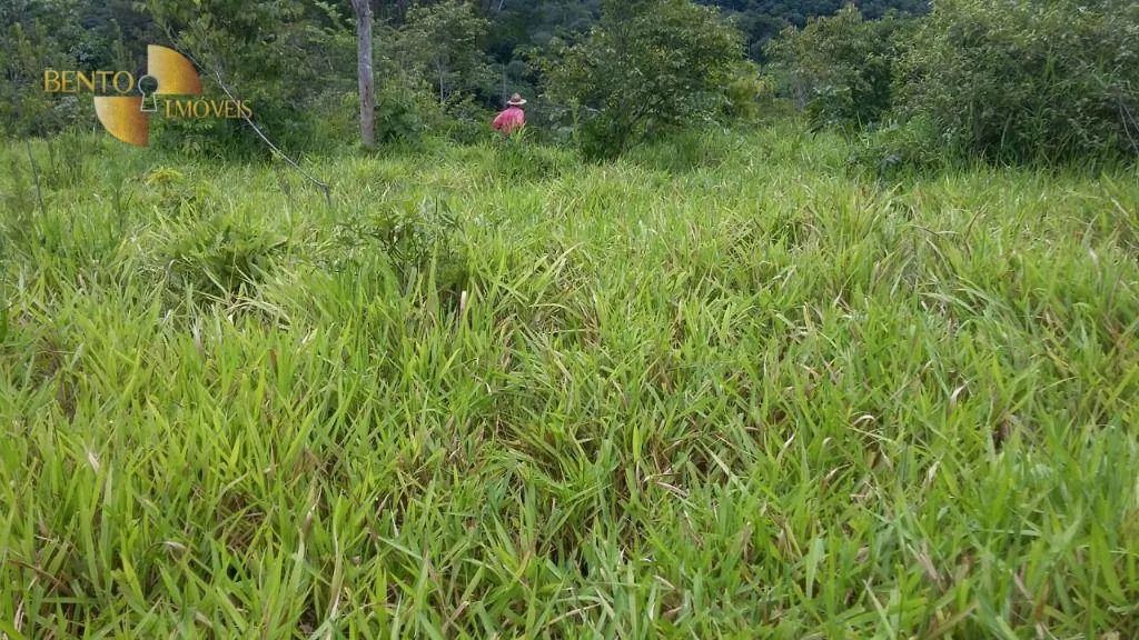 Farm for sale of 4,324 acres in Nova Brasilândia, MT, Brazil