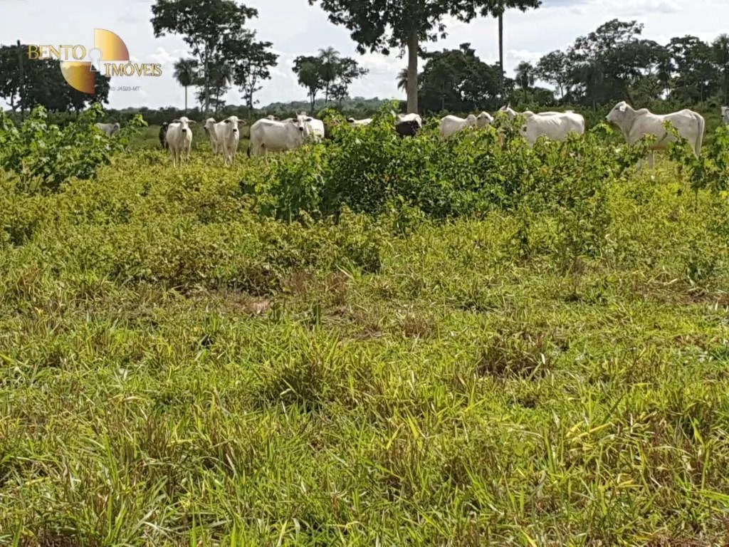 Farm for sale of 1,161 acres in Cuiabá, MT, Brazil