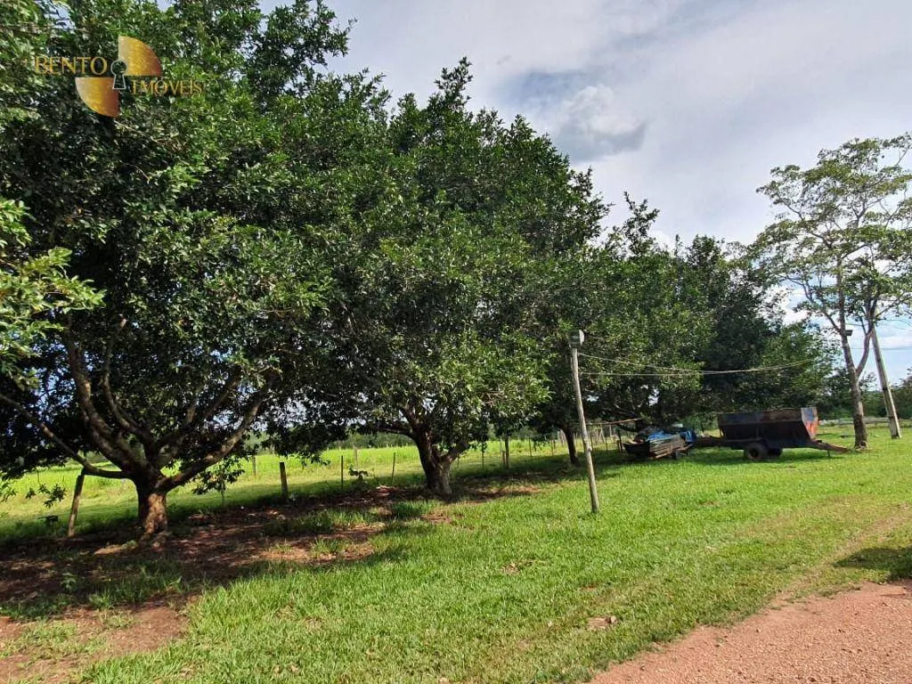 Farm for sale of 1,161 acres in Cuiabá, MT, Brazil