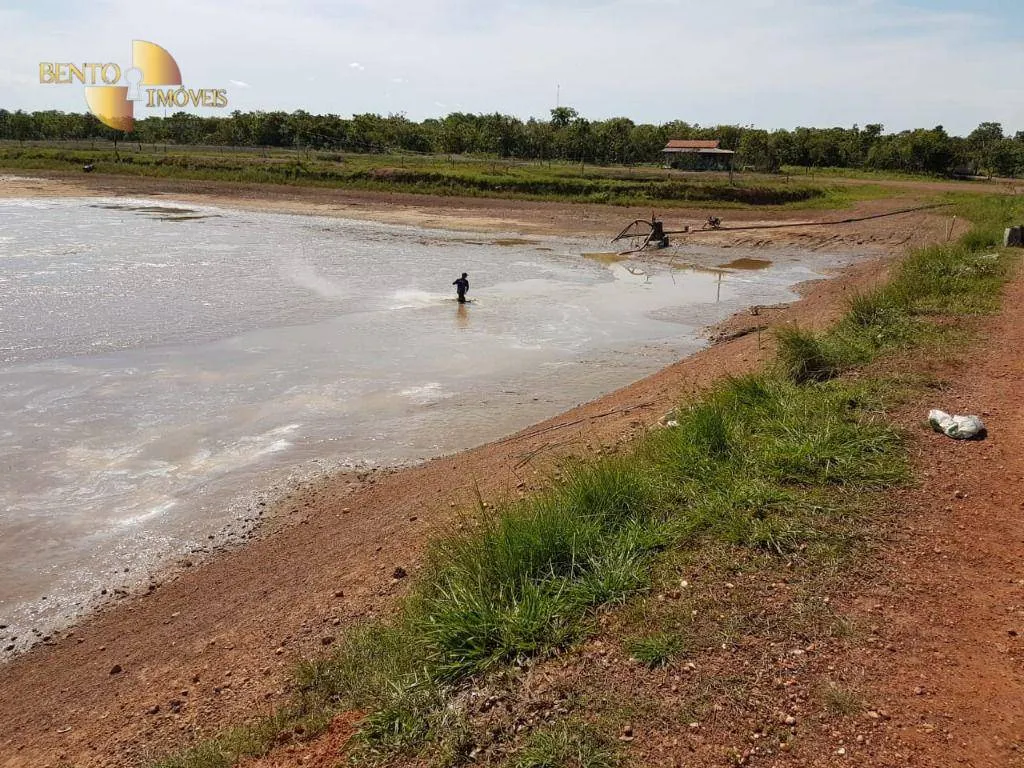 Farm for sale of 1,161 acres in Cuiabá, MT, Brazil