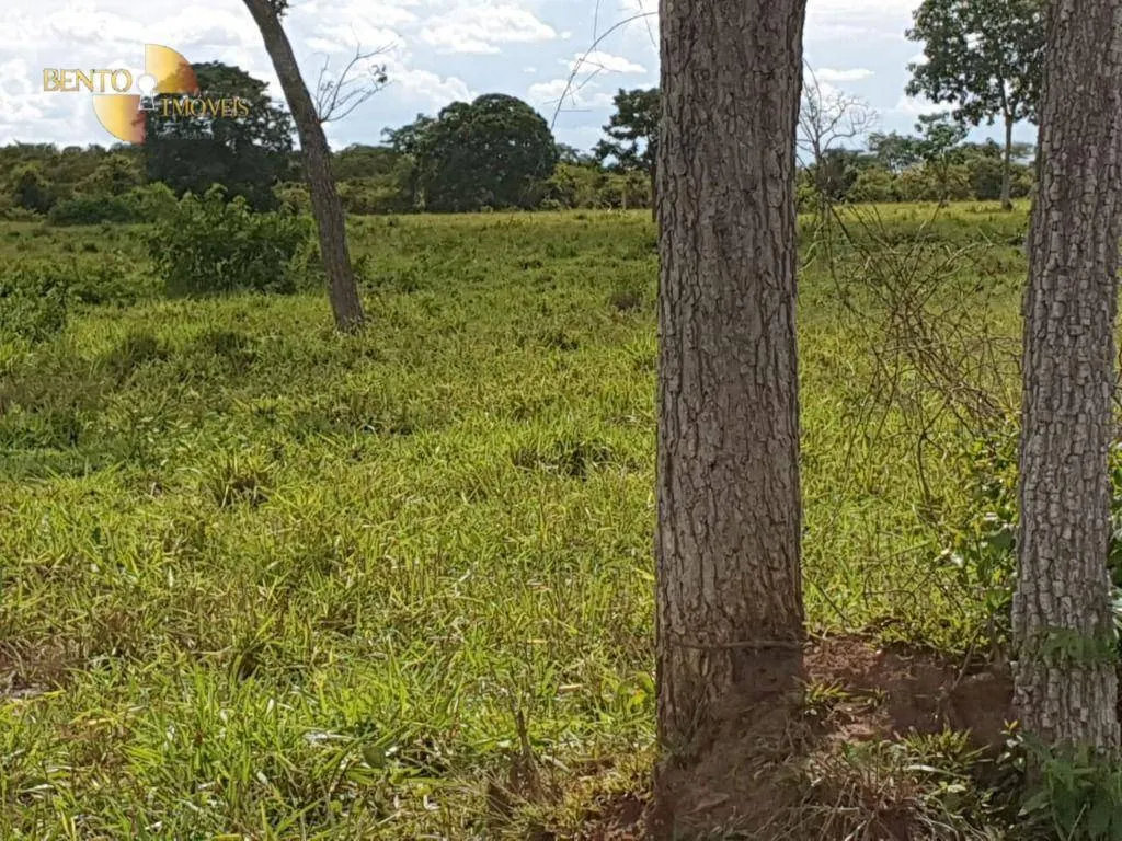 Farm for sale of 1,161 acres in Cuiabá, MT, Brazil