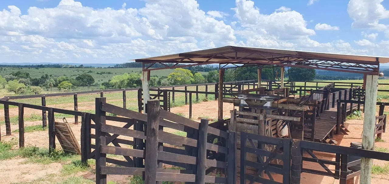 Farm for sale of 425 acres in Bauru, SP, Brazil