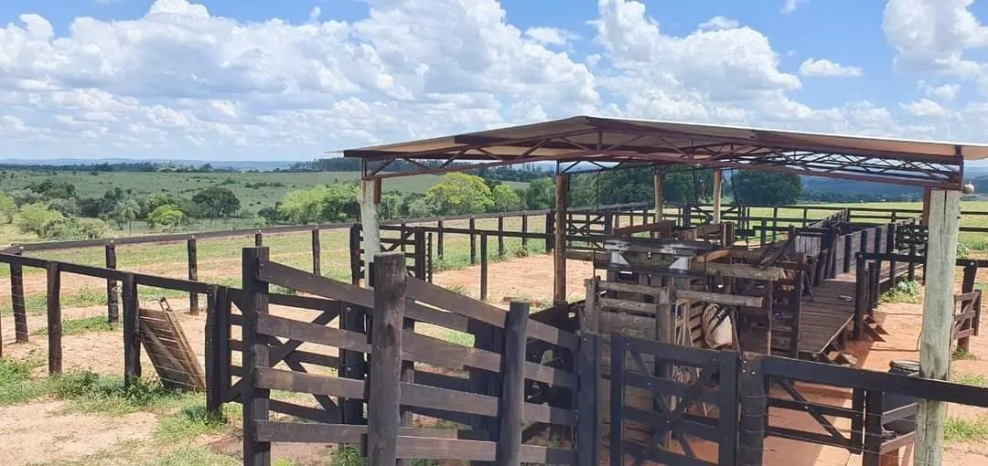 Farm for sale of 425 acres in Bauru, SP, Brazil