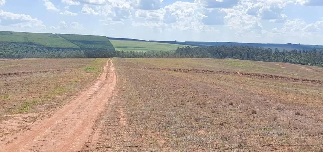 Farm for sale of 425 acres in Bauru, SP, Brazil