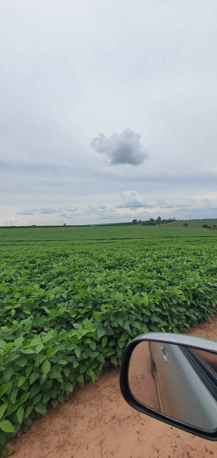 Farm for sale of 425 acres in Bauru, SP, Brazil