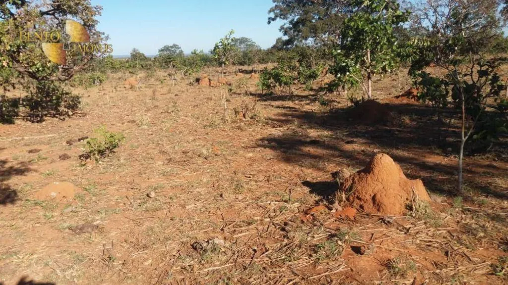 Farm for sale of 2,471 acres in Paranatinga, MT, Brazil