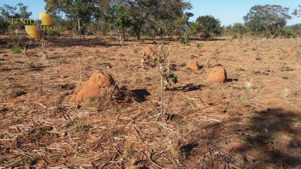 Farm for sale of 2,471 acres in Paranatinga, MT, Brazil