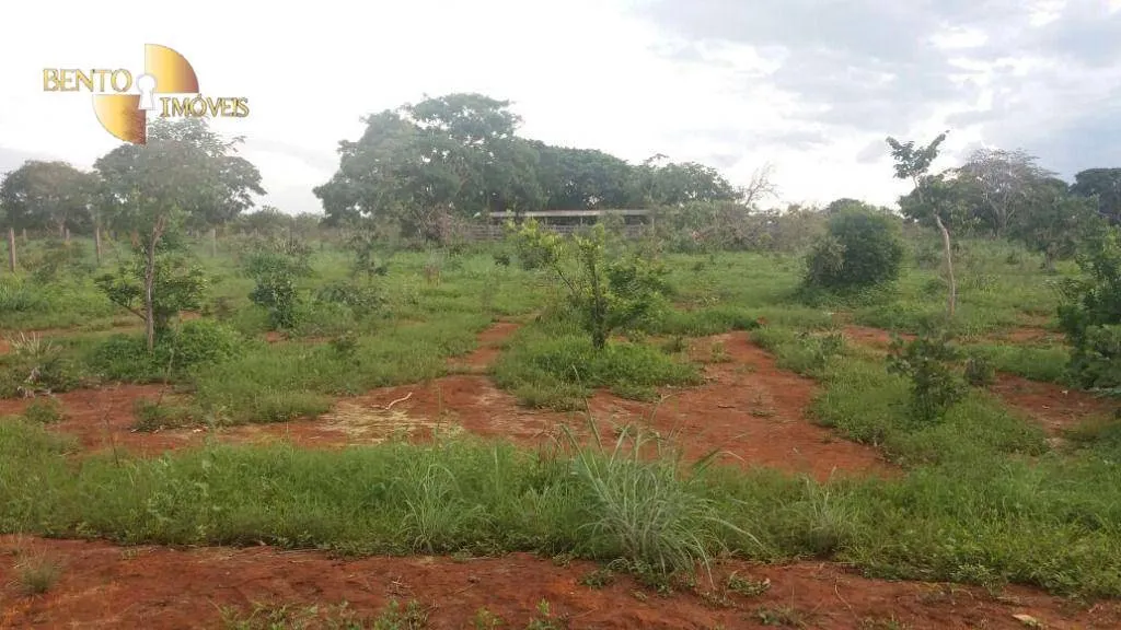 Farm for sale of 2,471 acres in Paranatinga, MT, Brazil
