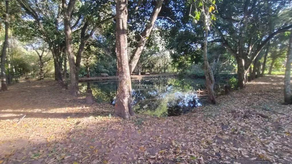 Sítio à venda de 4 ha em Araraquara, SP, Brasil