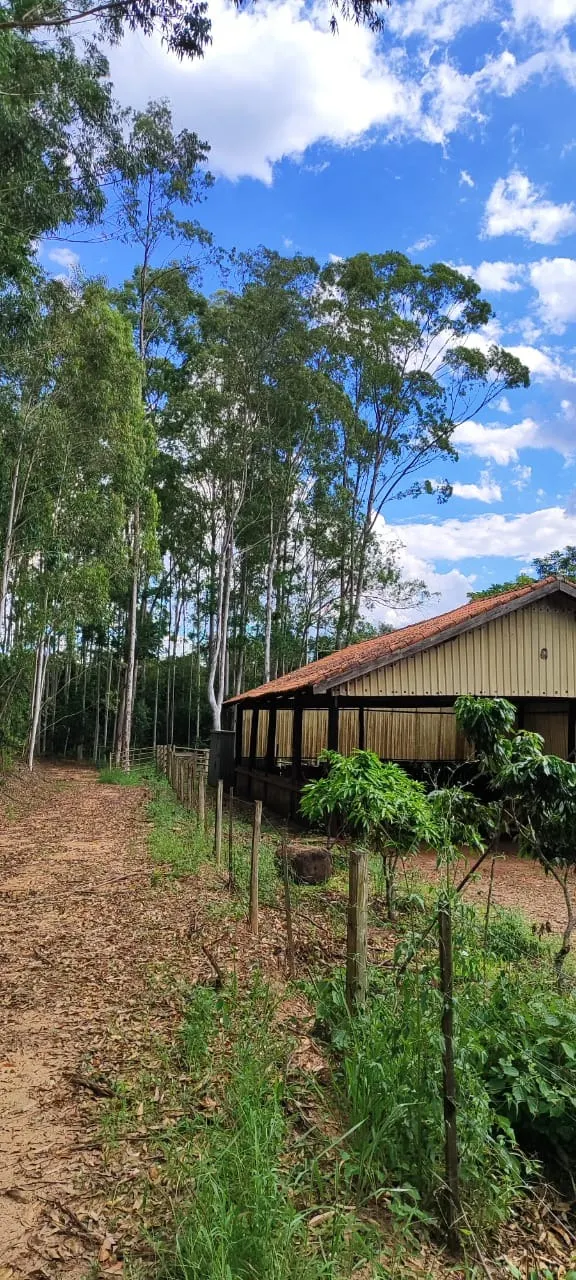 Farm for sale of 419 acres in Pratânia, SP, Brazil